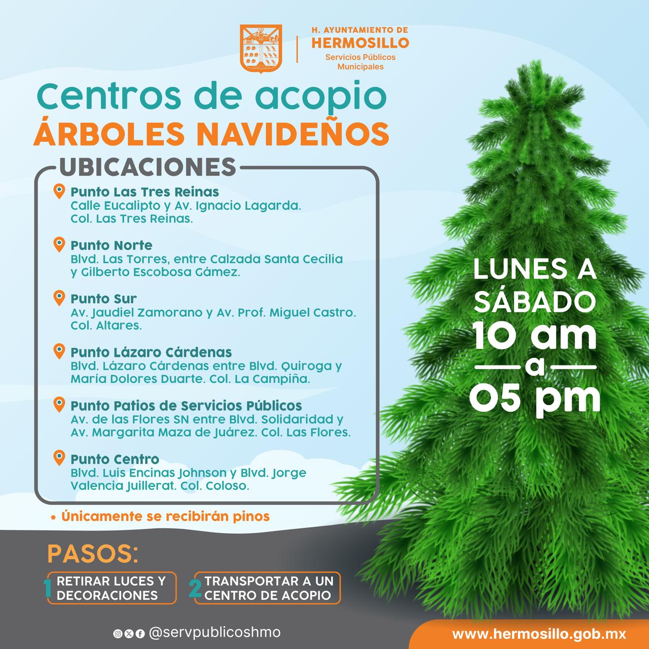 Hermosillo habilita centros de acopio para árboles navideños