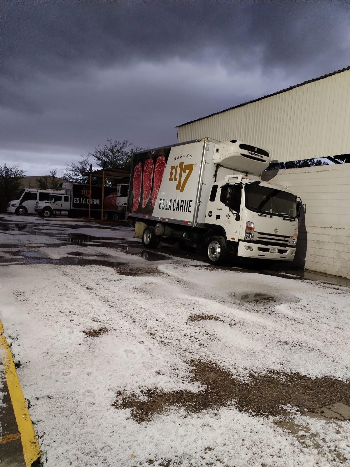 Graniza al sur de Hermosillo