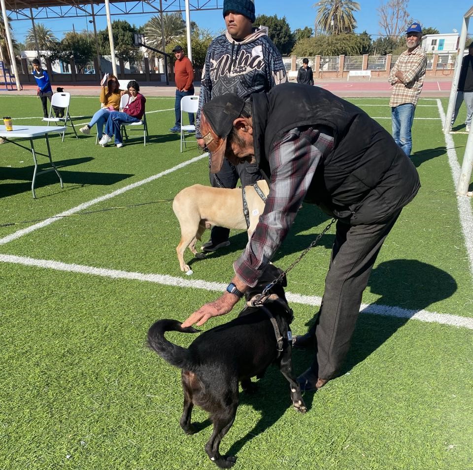 Realizan jornada de esterilización gratuita en Bahía de&nbsp;Kino