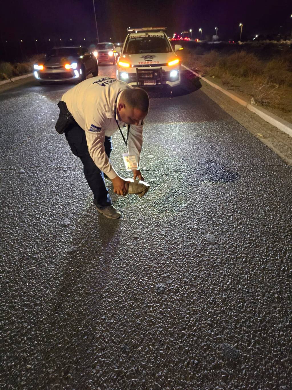 Hermosillo refuerza señalización para proteger cruce de&nbsp;tortugas