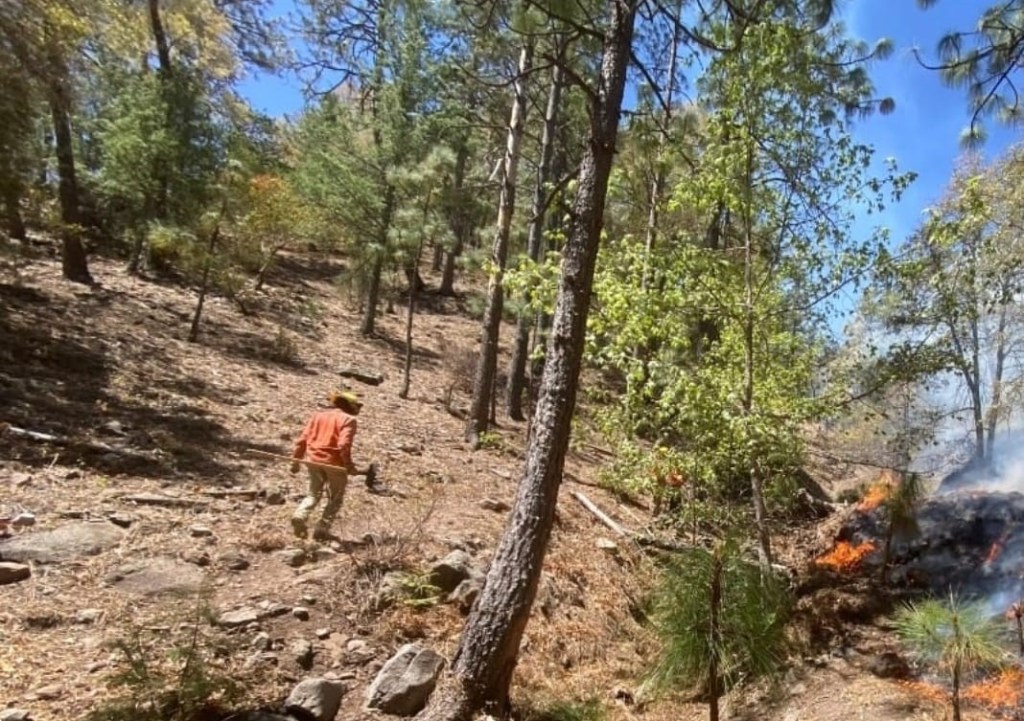 Gobierno de Sonora intensifica combate a incendios&nbsp;forestales