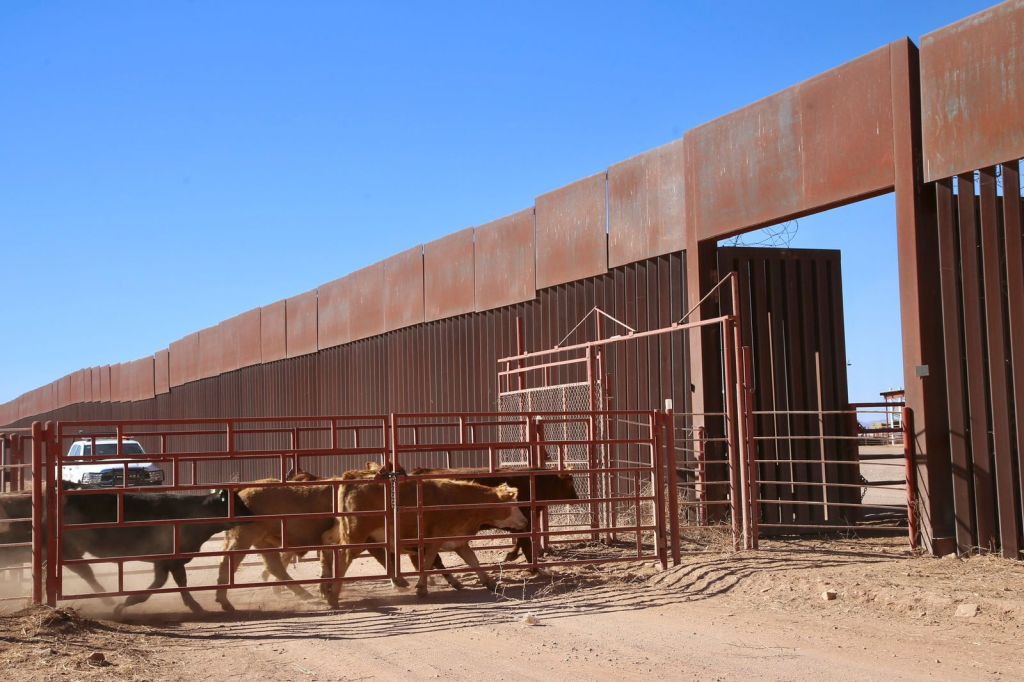 Suspensión de importaciones de ganado en EE.UU. por plaga en&nbsp;México