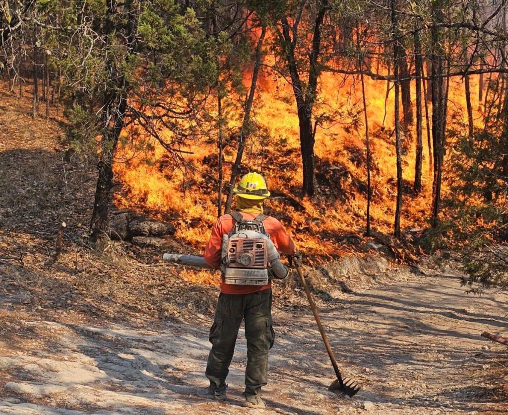 Avances significativos en el combate a incendios forestales en&nbsp;Sonora