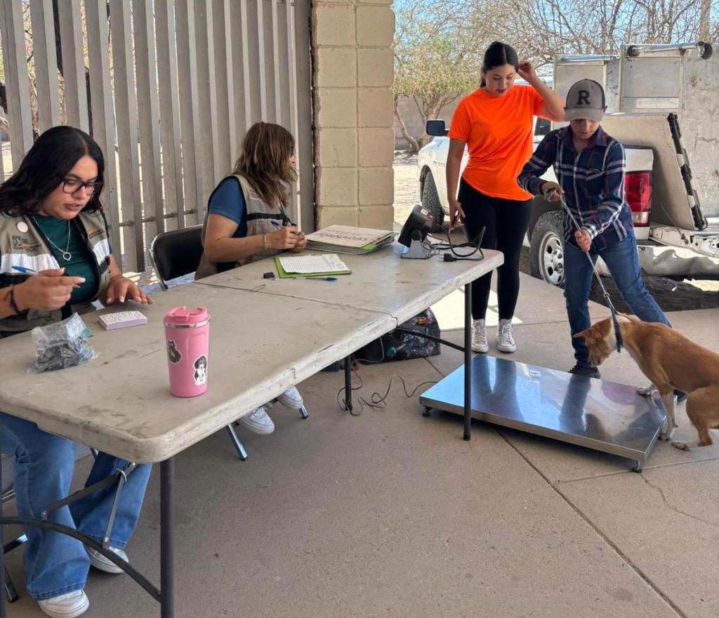 Gobierno de Sonora impulsa bienestar animal en&nbsp;Hermosillo