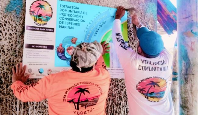 México triplicará Zonas de Refugio Pesquero para&nbsp;2026