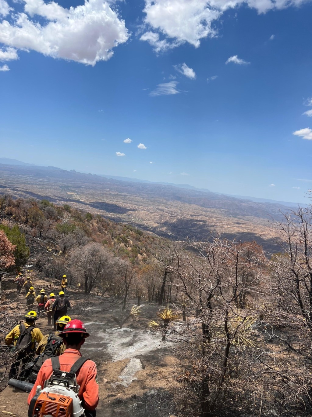 Gobierno de Sonora logra control total de incendio en Sierra Los&nbsp;Ajos