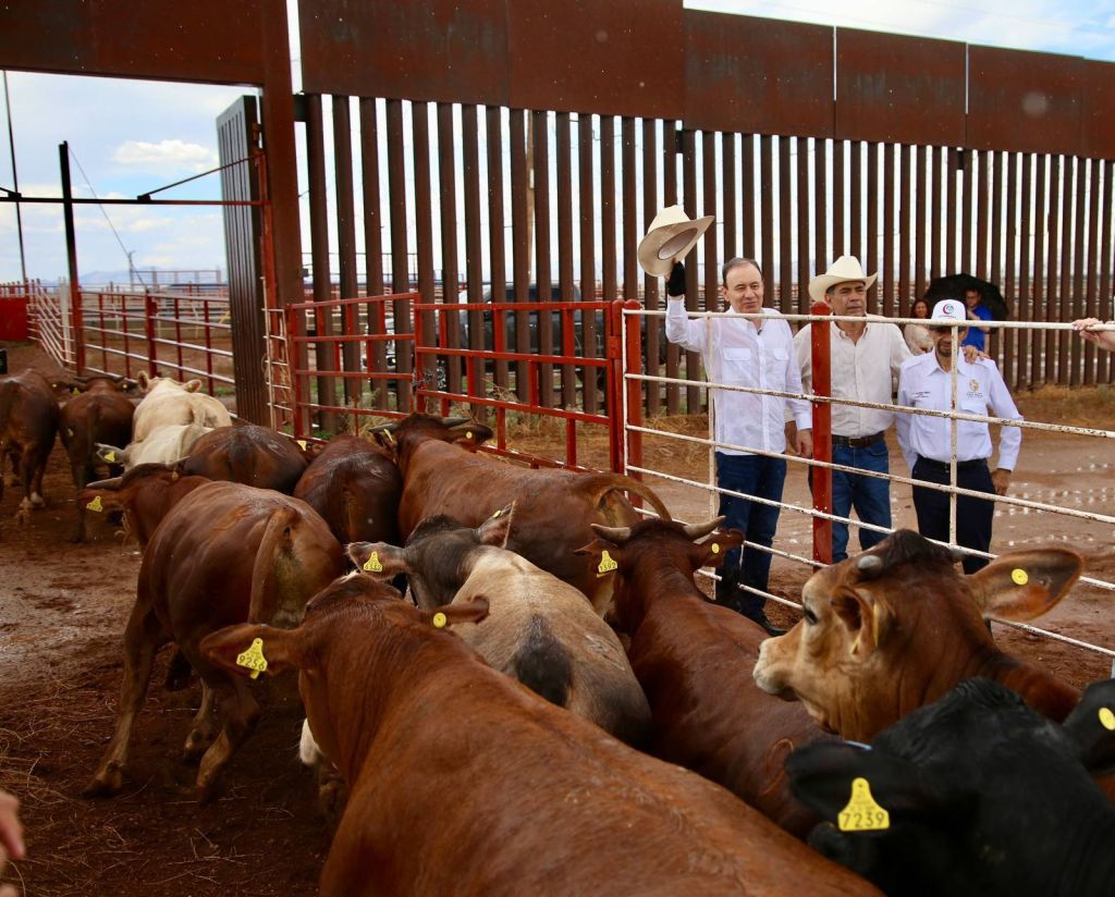 EE.UU. cierra frontera al ganado mexicano por&nbsp;plaga