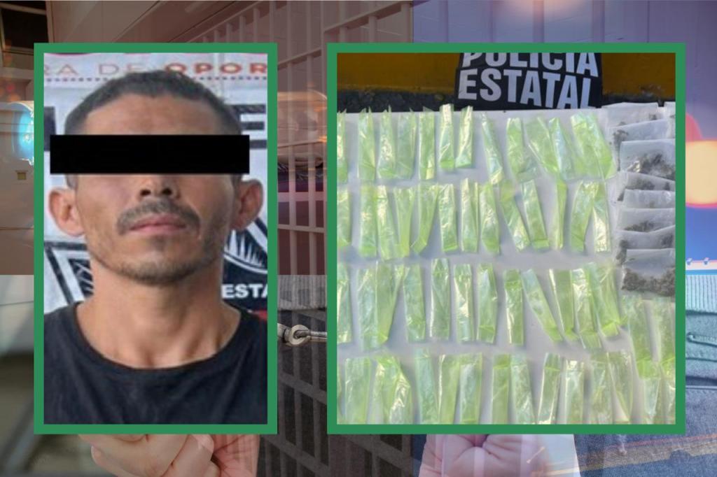 Gobierno de Sonora incauta narcóticos en&nbsp;Hermosillo