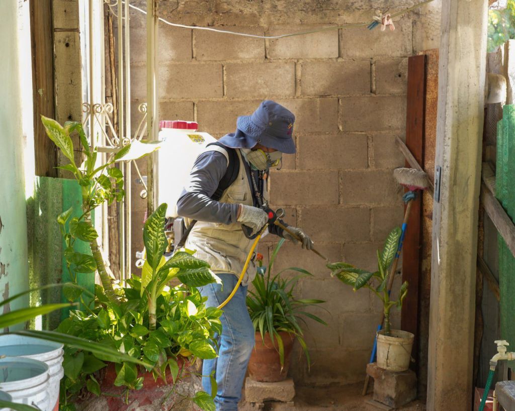 Gobierno de Sonora intensifica control del&nbsp;dengue