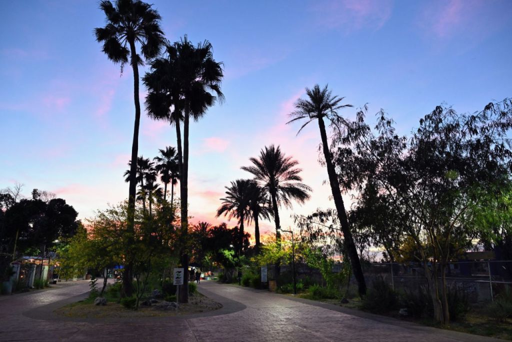 La Sauceda suma librería del FCE y supera medio millón de visitantes en su primer&nbsp;año
