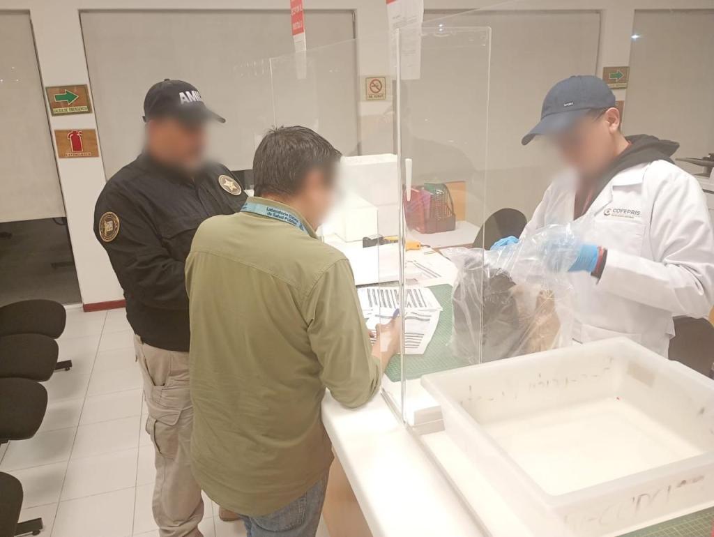 Autoridades entregan insumos a laboratorio nacional por investigación de fallecimientos en Sonora