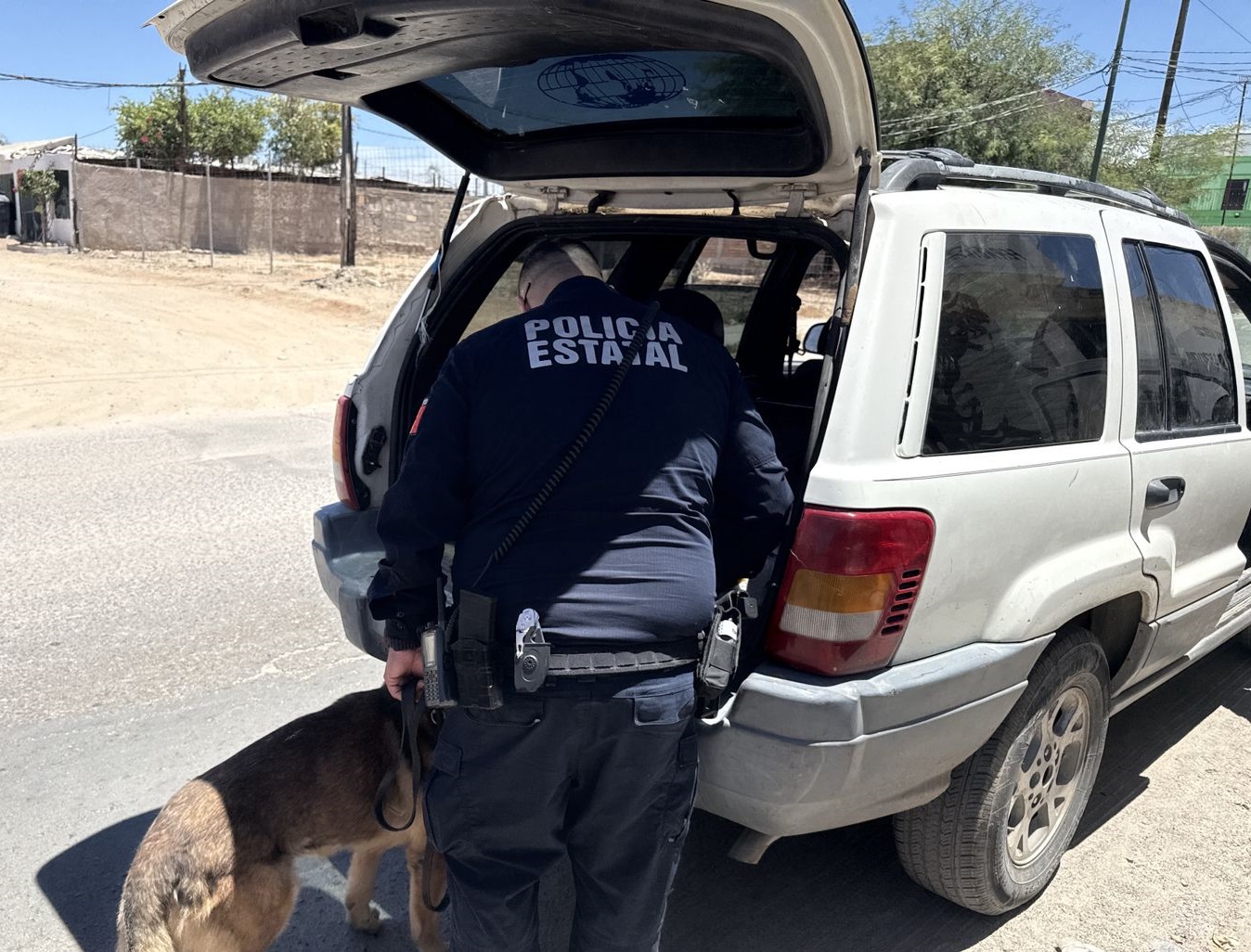 Unidad K-9 de la PESP realiza patrullajes preventivos en Hermosillo