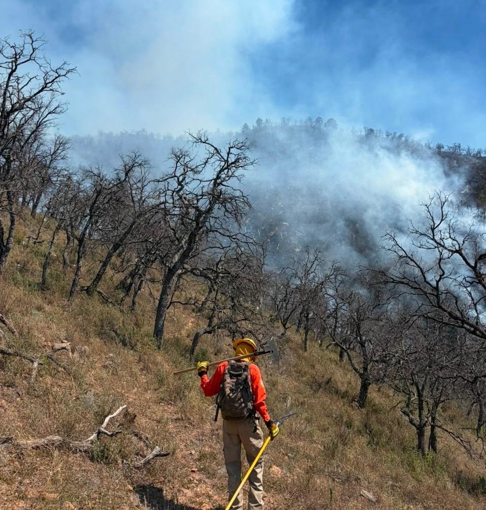 Más de 100 combatientes forestales atienden incendio en Tarachi,&nbsp;Sonora