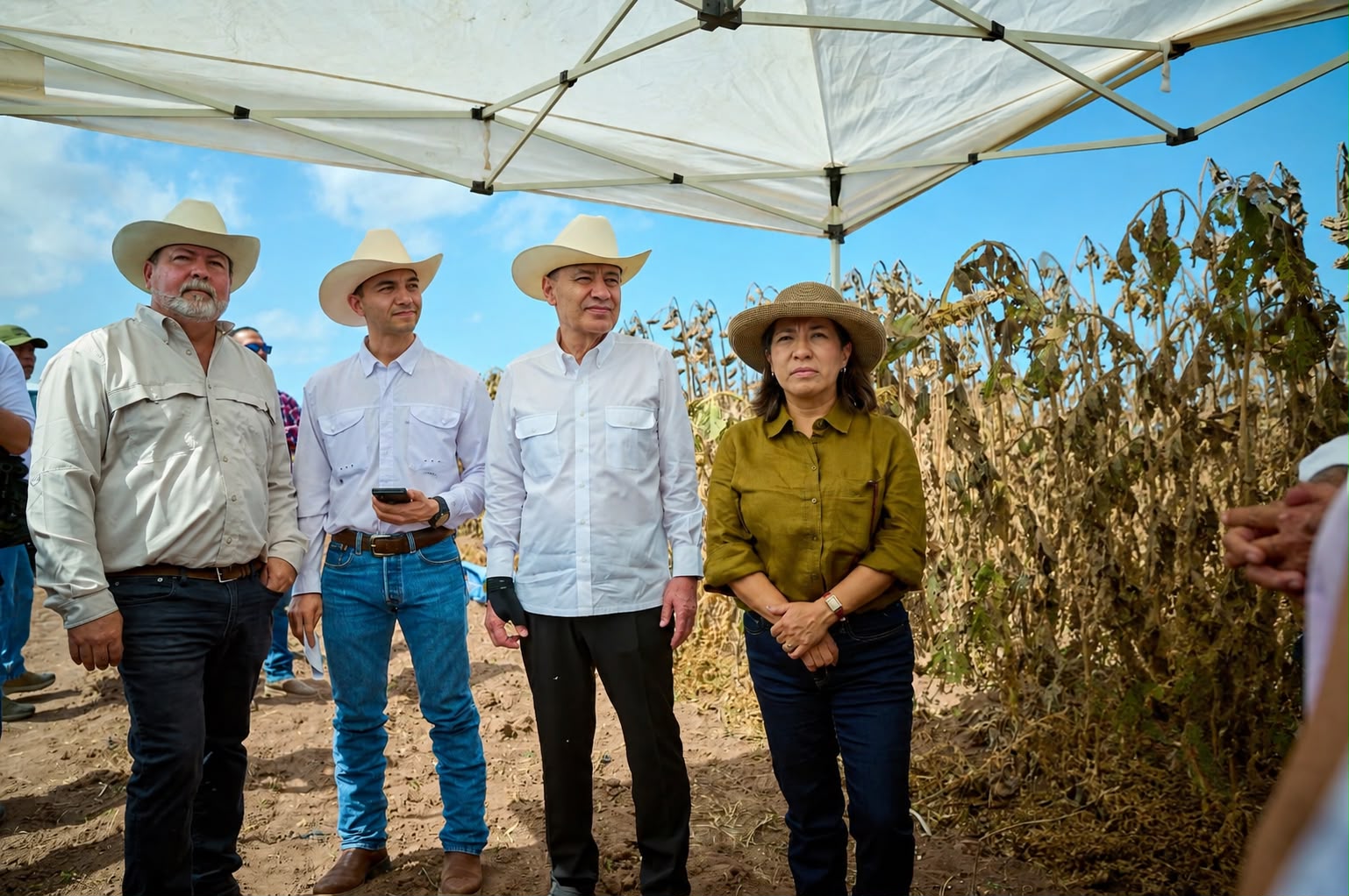 Sonora lidera crecimiento agropecuario en el norte del país