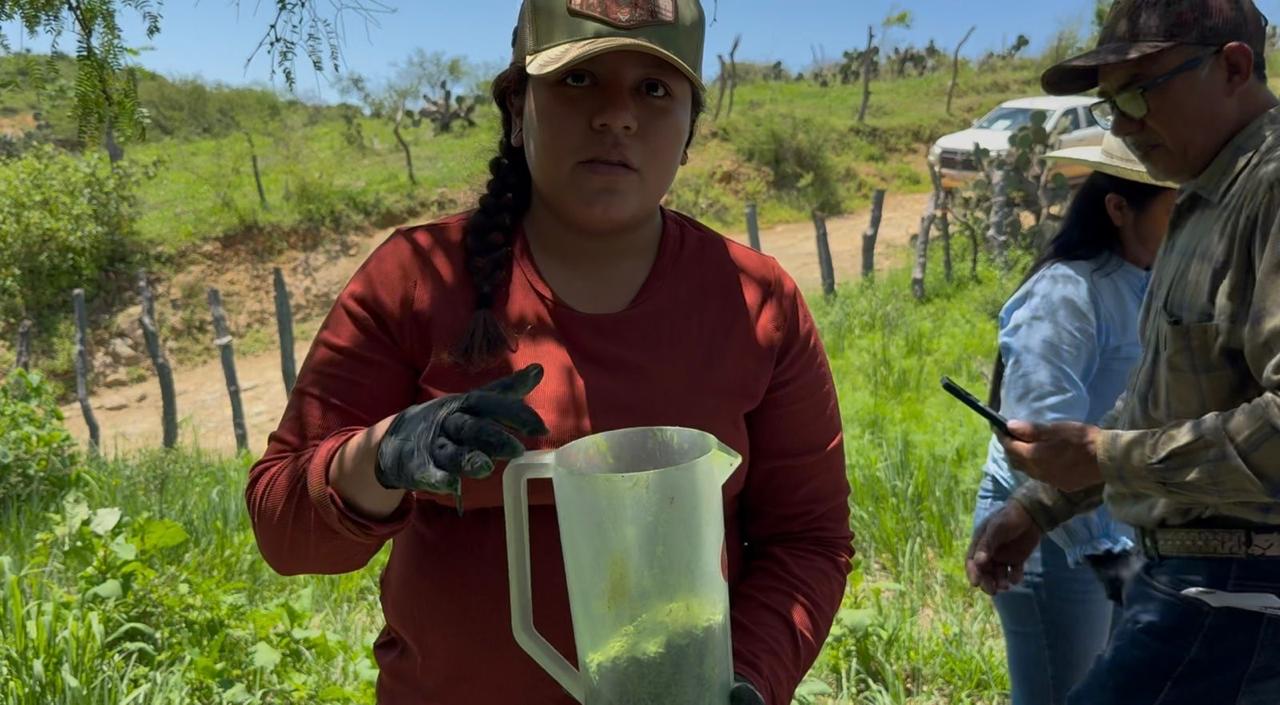 Sonora y Senasica intensifican medidas contra el gusano barrenador del ganado
