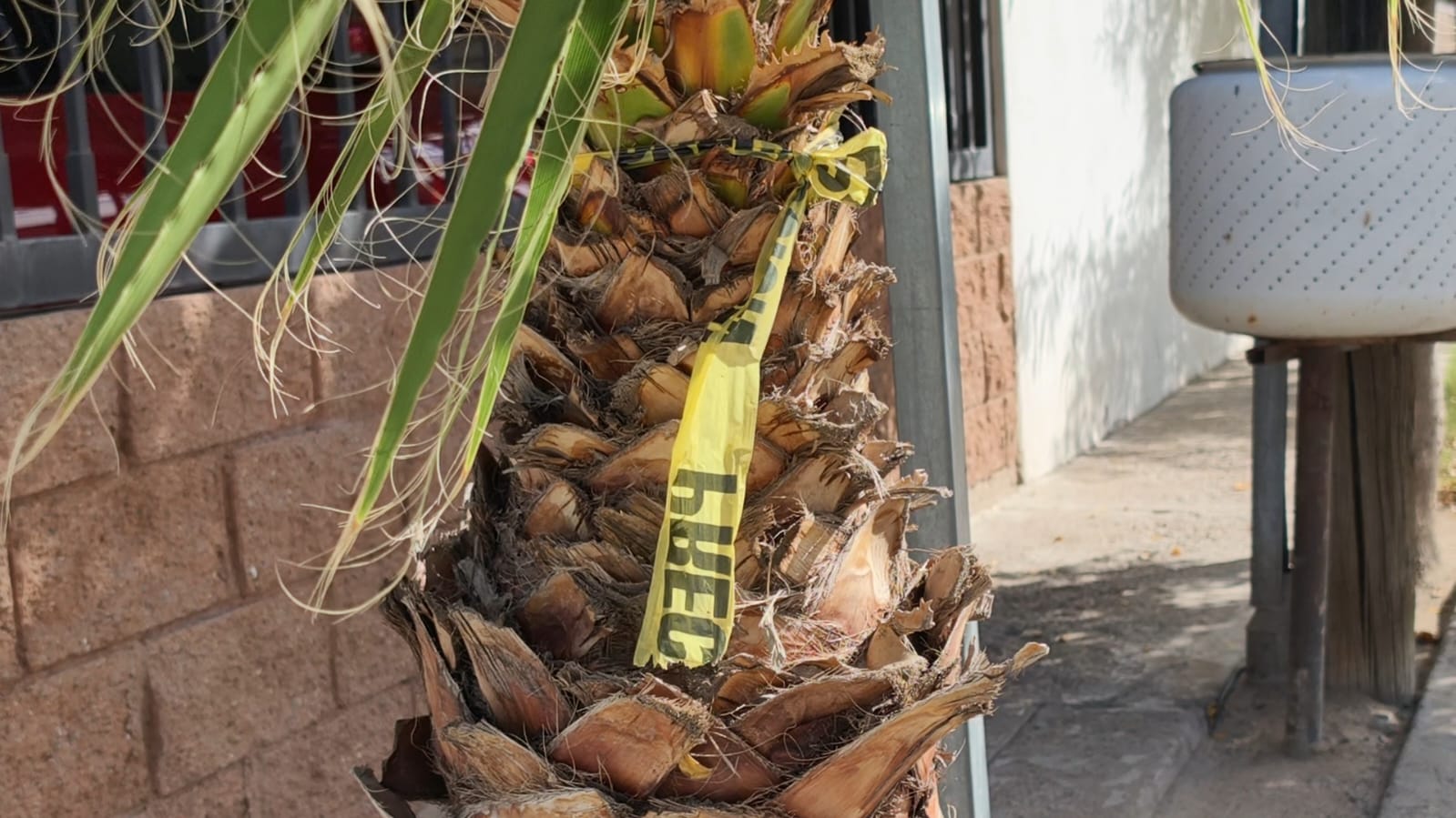 Ataque armado en Hermosillo deja un herido